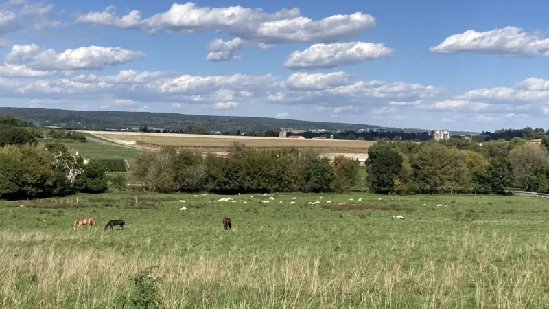 Some Amish recall COVID dictates and question government on measles